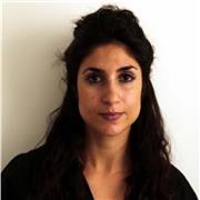 Profesor de español para extranjeros (clases online)